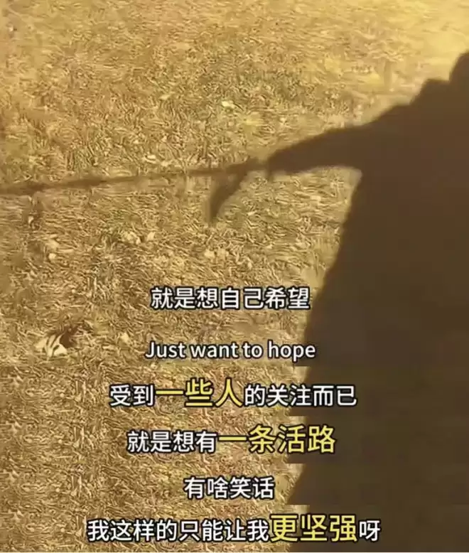 郑爽近照曝光容貌变化太大遭热议，本人回应了