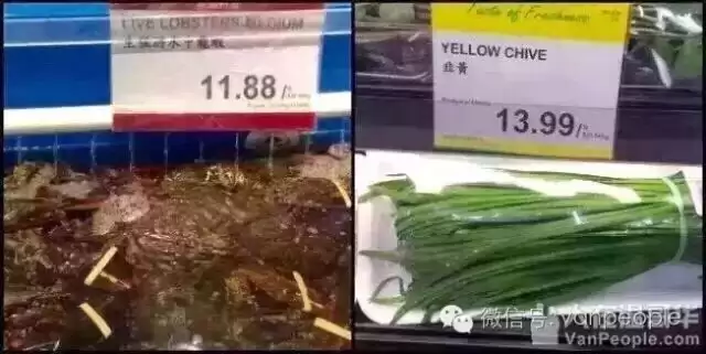 国内这些超便宜的东西在加拿大贵炸天，真让人分分钟想回国！
