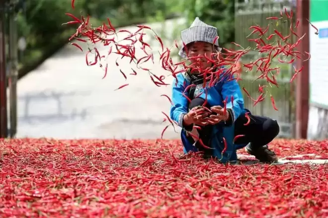 老干妈，出山救子，又赚翻了.....