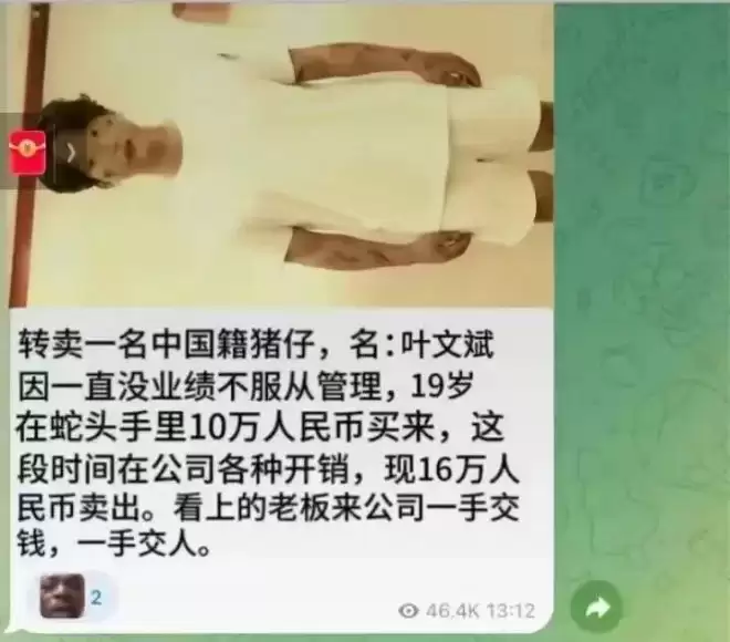 中国单亲妈妈，只身闯电诈园区