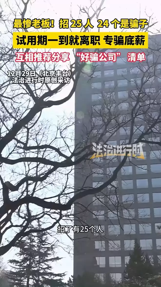 最惨老板 新入职25个员工竟有24个是骗子 “这两字”是暗号