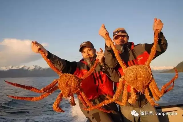 原来加拿大有这么多好吃的都是世界顶级品质，可以吹NB了！