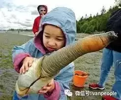 原来加拿大有这么多好吃的都是世界顶级品质，可以吹NB了！