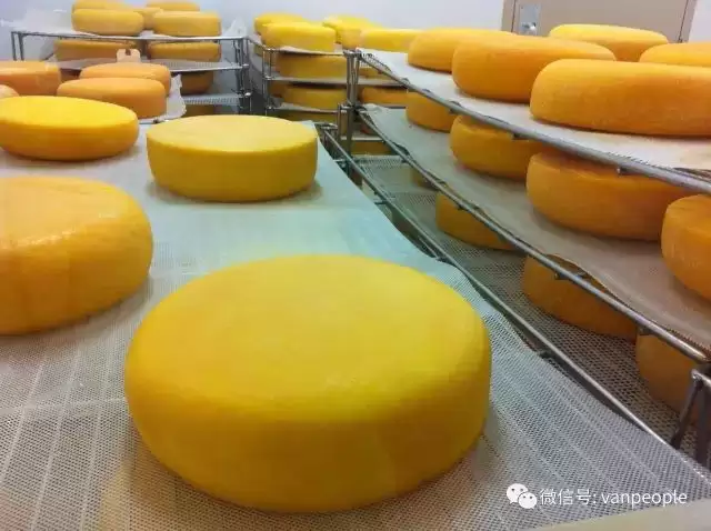 原来加拿大有这么多好吃的都是世界顶级品质，可以吹NB了！