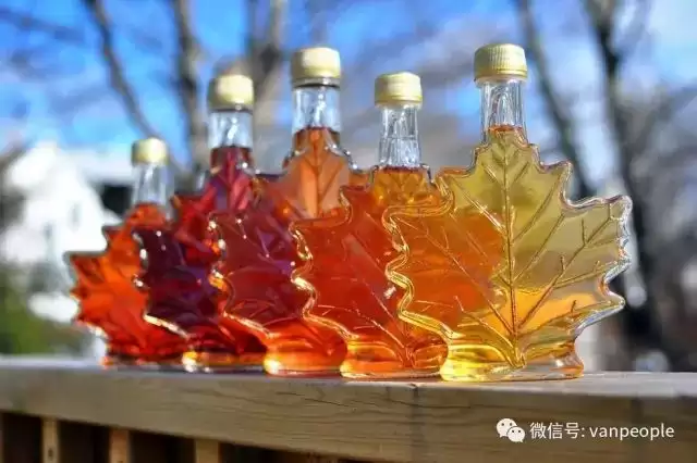 原来加拿大有这么多好吃的都是世界顶级品质，可以吹NB了！