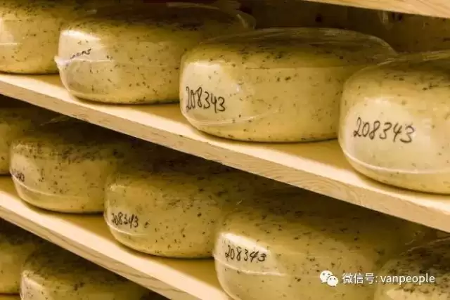 原来加拿大有这么多好吃的都是世界顶级品质，可以吹NB了！