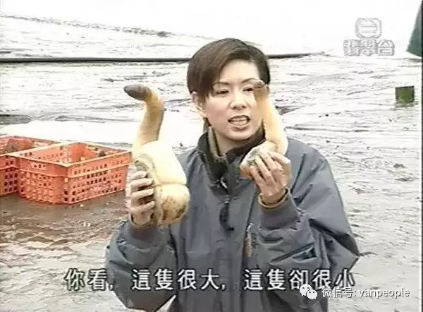 原来加拿大有这么多好吃的都是世界顶级品质，可以吹NB了！
