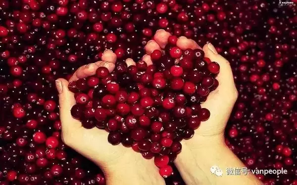 原来加拿大有这么多好吃的都是世界顶级品质，可以吹NB了！