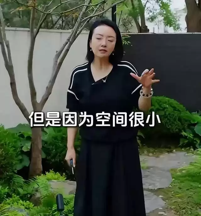 李湘被扒底朝天，高调炫富仅是冰山一角
