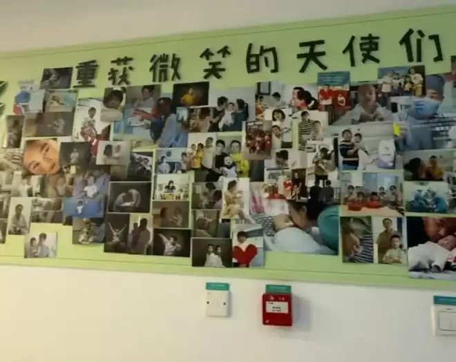 “给李亚鹏捐款”突然火了！捐款已超1400万元！