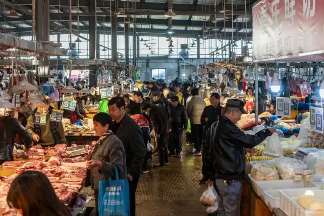 纽约时报：2025年中国GDP实现5%增长目标