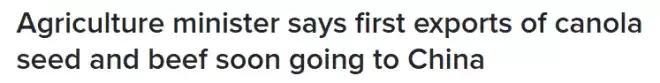 好消息! 中国恢复进口加拿大牛肉! 已订购6万吨油菜籽!