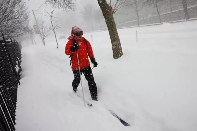 【降雪破纪录】市民雪中寻乐  造雪糕 制玫瑰 放狗 躺平 打卡...