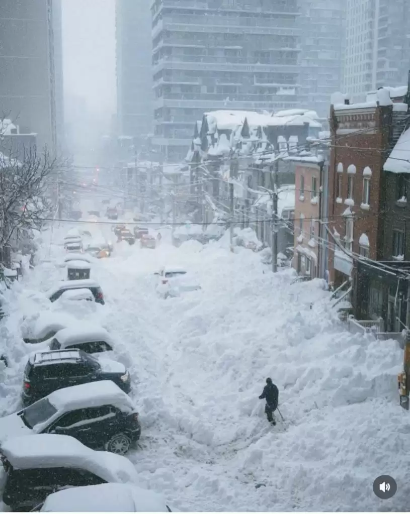 【降雪破纪录】市民雪中寻乐  造雪糕 制玫瑰 放狗 躺平 打卡...