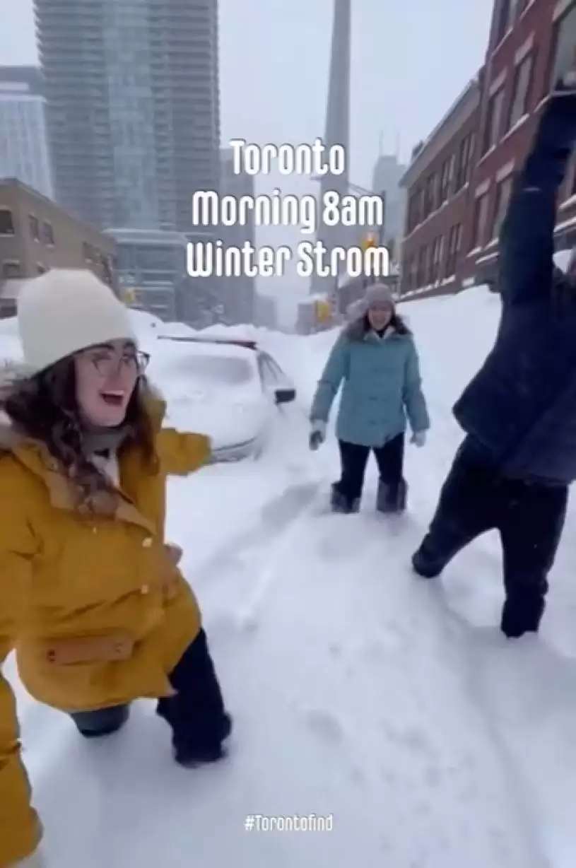 【降雪破纪录】市民雪中寻乐  造雪糕 制玫瑰 放狗 躺平 打卡...