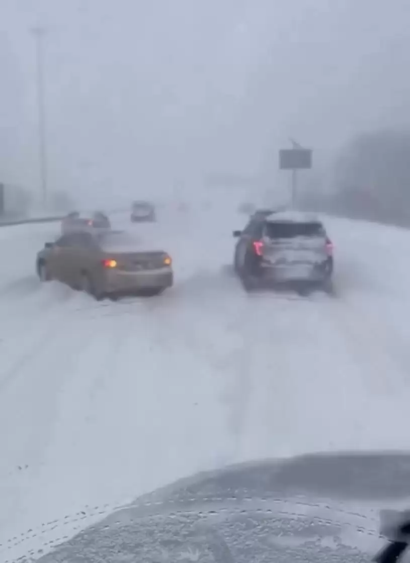 【降雪破纪录】市民雪中寻乐  造雪糕 制玫瑰 放狗 躺平 打卡...