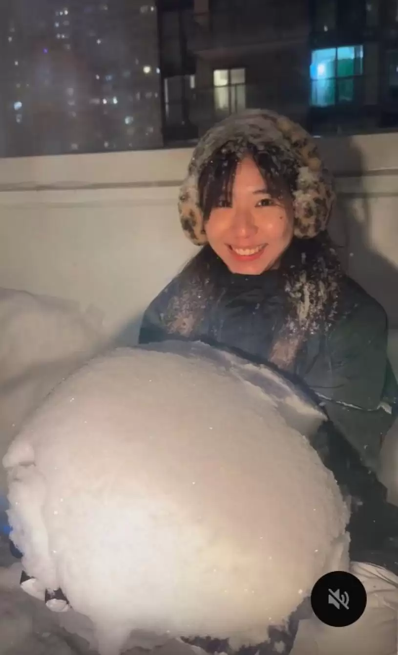 【降雪破纪录】市民雪中寻乐  造雪糕 制玫瑰 放狗 躺平 打卡...