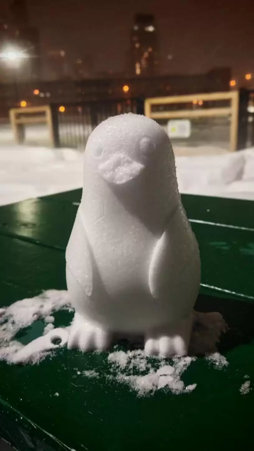 【降雪破纪录】市民雪中寻乐  造雪糕 制玫瑰 放狗 躺平 打卡...