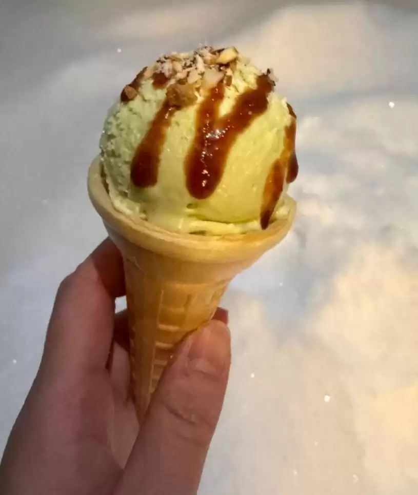 【降雪破纪录】市民雪中寻乐  造雪糕 制玫瑰 放狗 躺平 打卡...