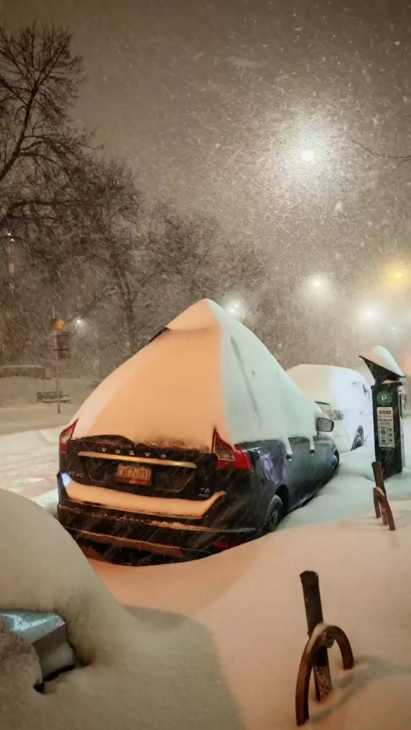 【降雪破纪录】市民雪中寻乐  造雪糕 制玫瑰 放狗 躺平 打卡...
