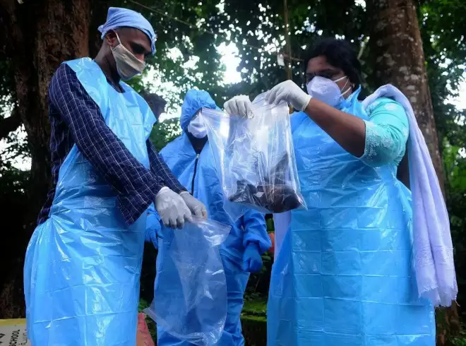 尼帕病毒Nipah Virus印度爆发 人与人之间怎传播?