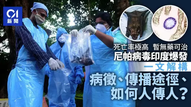 尼帕病毒Nipah Virus印度爆发 人与人之间怎传播?
