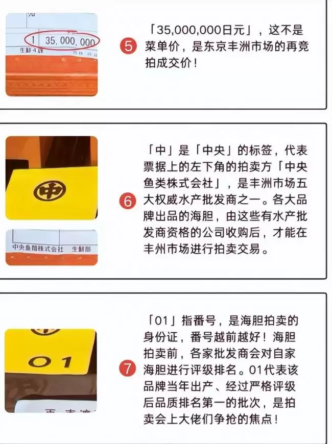 王思聪百万买下海胆之王，堪比一口一套房