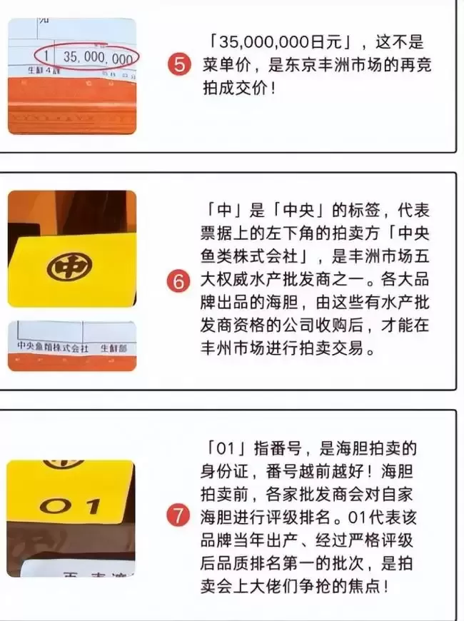 王思聪百万买下海胆之王，堪比一口一套房