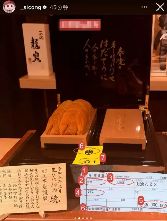 王思聪百万买下海胆之王，堪比一口一套房