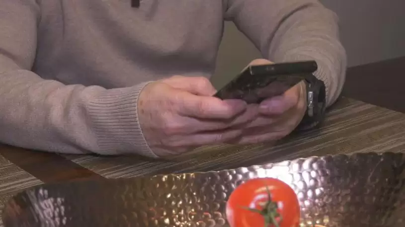 安省男子误堕股票骗局　一夜蒸发26万元