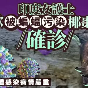 印度护士疑参加婚礼饮椰枣汁确诊尼帕病毒  同事接触“人传人”感染