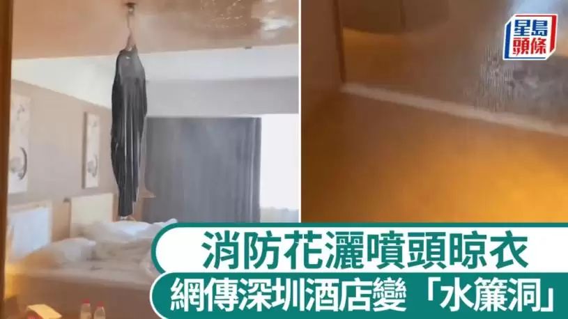 网传深圳酒店住客花洒喷头晾衣   房间“水帘洞”代价¥15万？︱有片