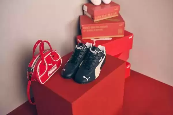 PUMA变中国品牌！安踏收购近3成股权成最大股东