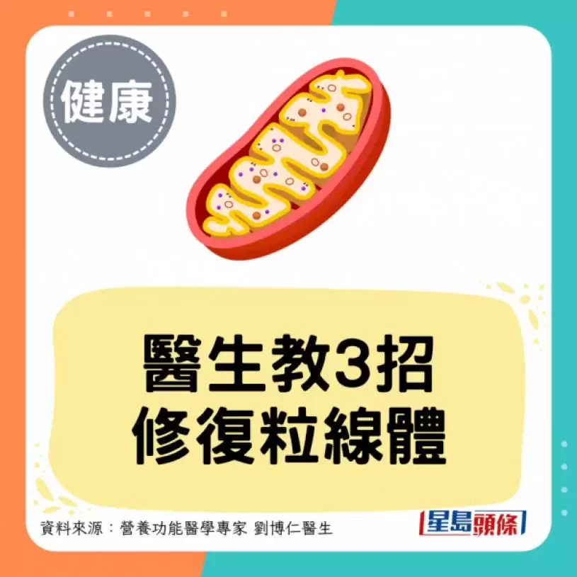 睡足8小时仍脑雾/疲劳？医生教3招修复粒线体 起床后让眼睛做1事更精神