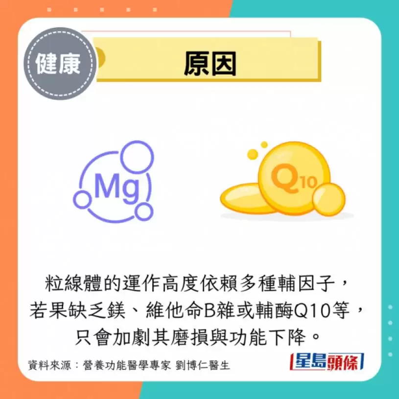 睡足8小时仍脑雾/疲劳？医生教3招修复粒线体 起床后让眼睛做1事更精神