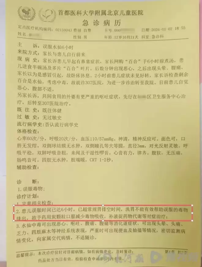 盒马误将水仙当百合配送，致71岁老人和12岁孩子中毒