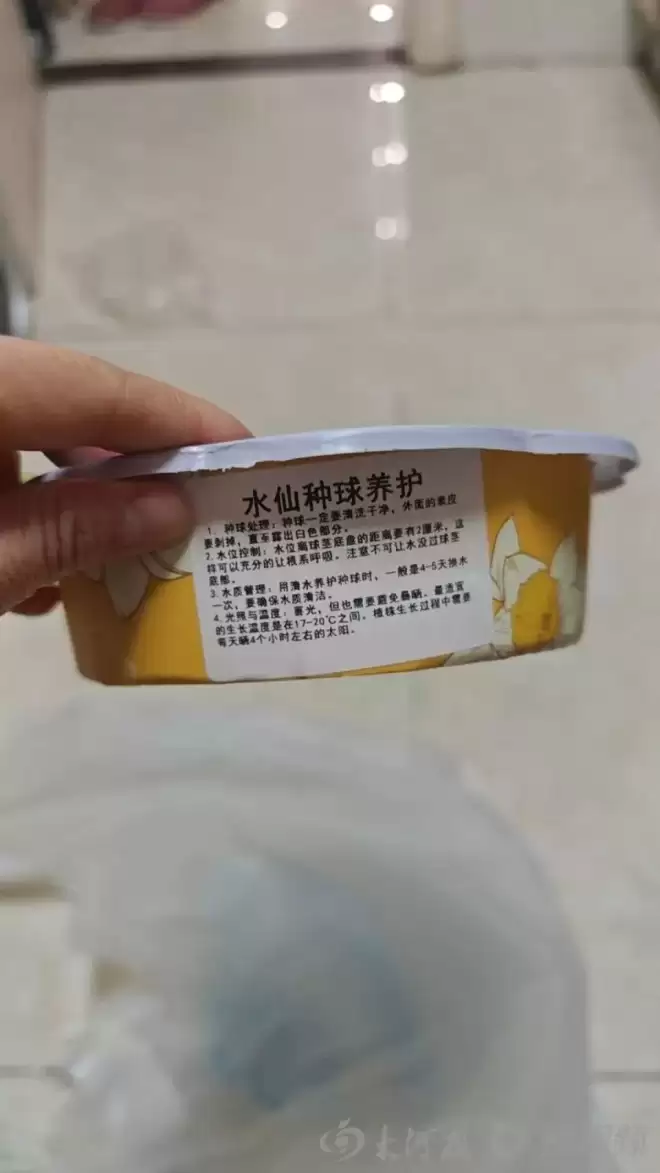 盒马误将水仙当百合配送，致71岁老人和12岁孩子中毒
