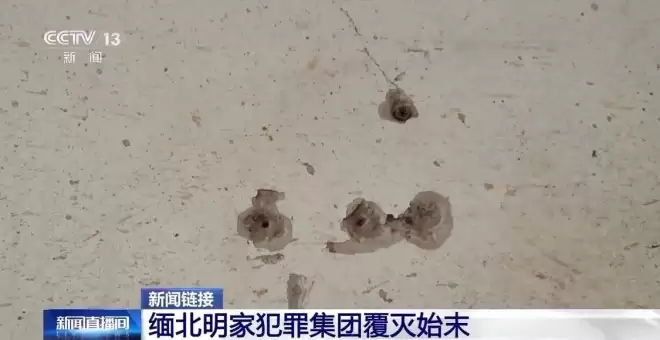 11名主犯被执行死刑，回顾缅北明家覆灭始末