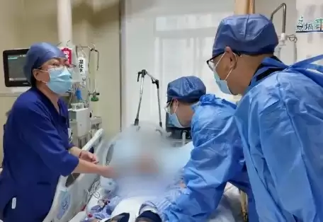 沪男为降血糖服“自制中药”毒发身亡  哪种药材出事？
