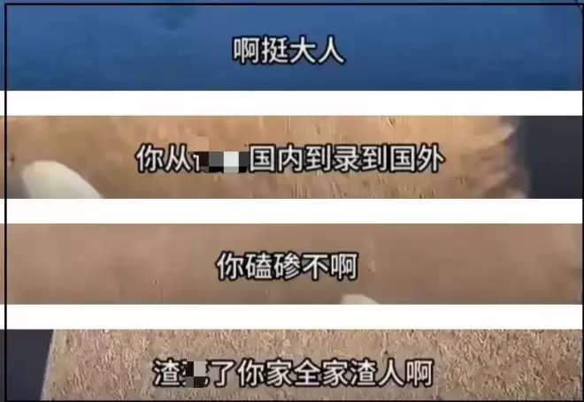 郑爽抱着孩子头发都白了！一家人和张恒当街吵架