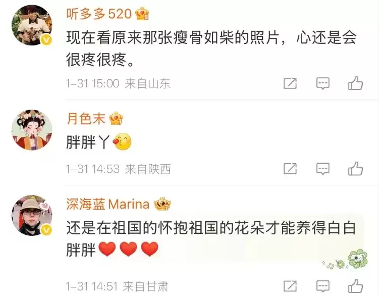 旅美大熊猫丫丫回国两年　胖了20公斤“判若两熊”｜有片