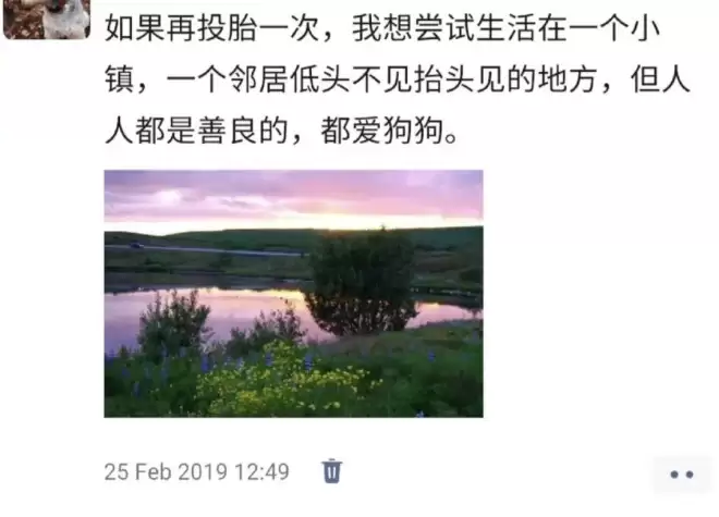 45岁，我上岸冰岛公务员，年休120天...