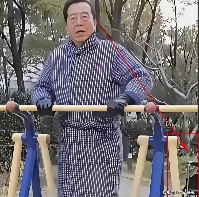 李双江近况：小县城奔波接商演 身边还有轮椅