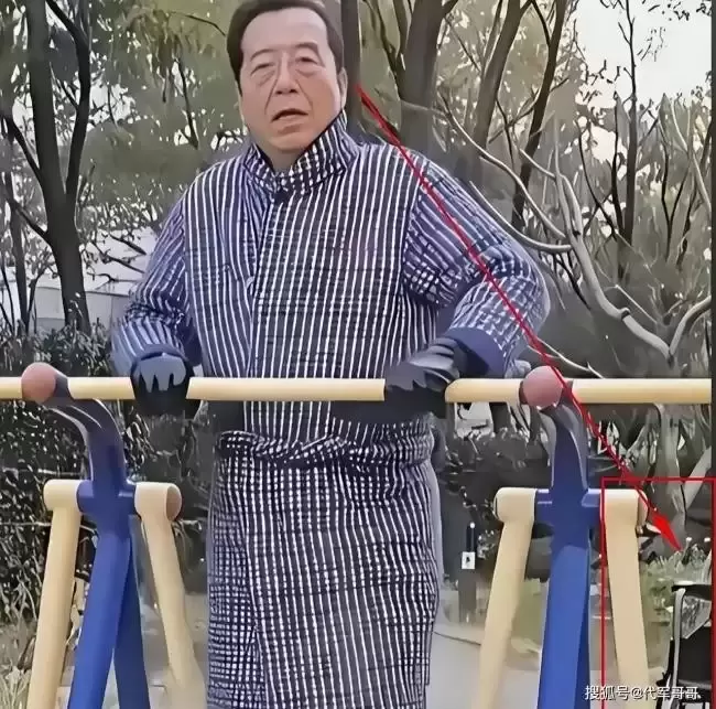 李双江近况：小县城奔波接商演 身边还有轮椅