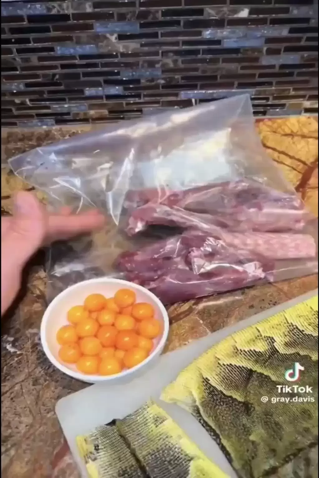 美洲绿鬣蜥｜“树上鸡肉”冻僵跌落地 居民煎皮拆骨做塔可饼