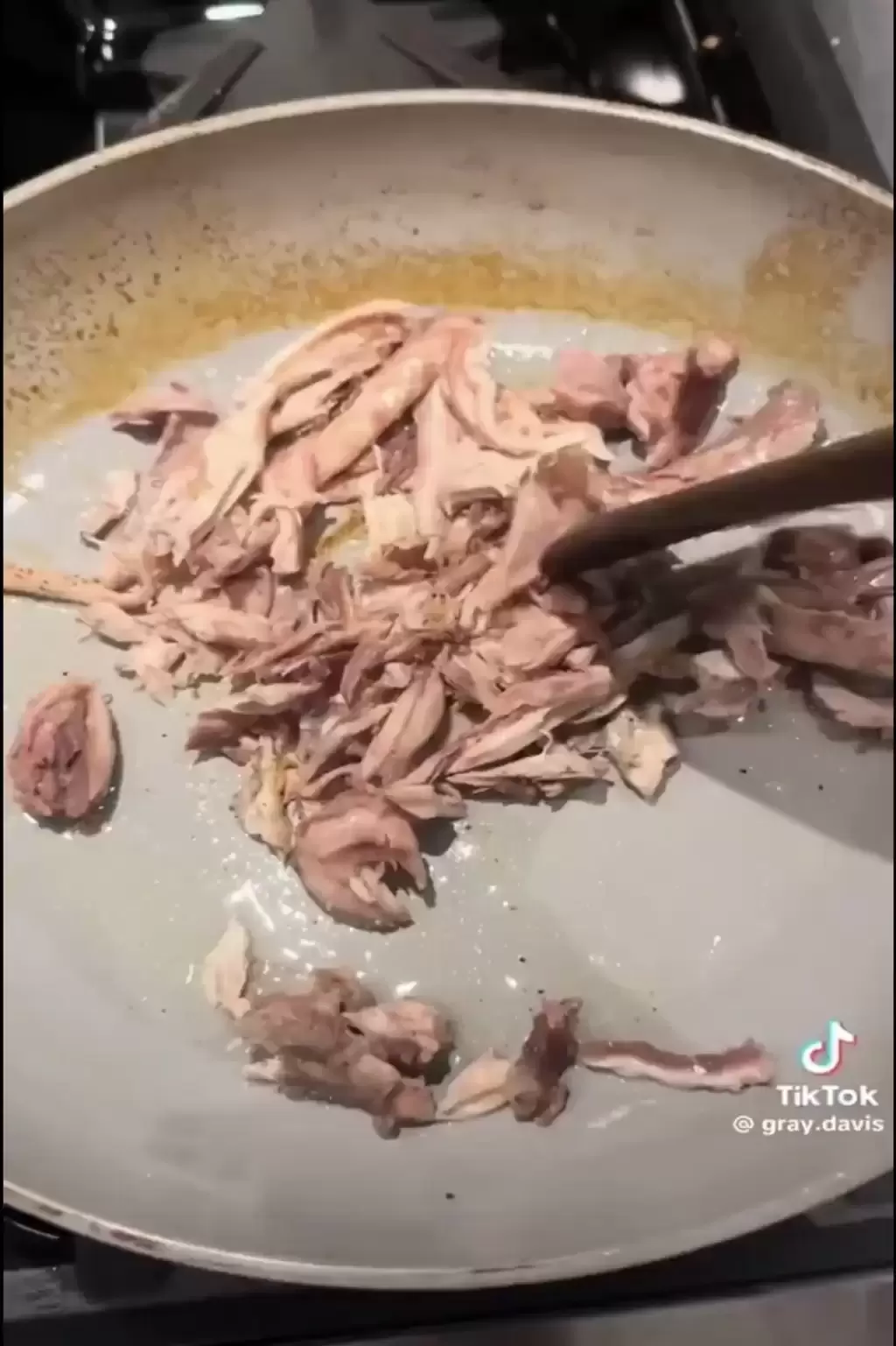 美洲绿鬣蜥｜“树上鸡肉”冻僵跌落地 居民煎皮拆骨做塔可饼