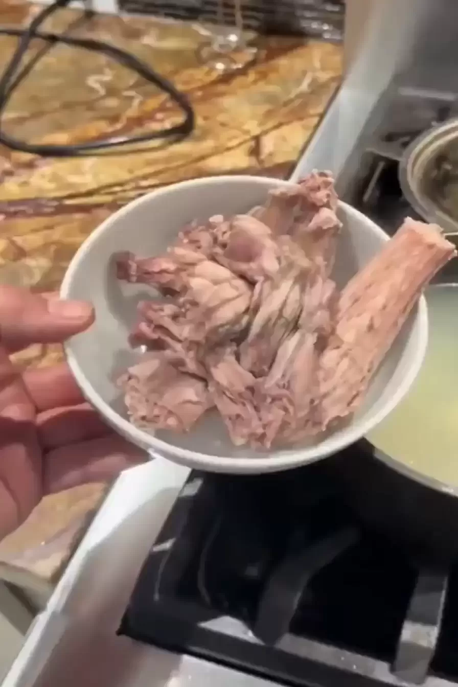 美洲绿鬣蜥｜“树上鸡肉”冻僵跌落地 居民煎皮拆骨做塔可饼