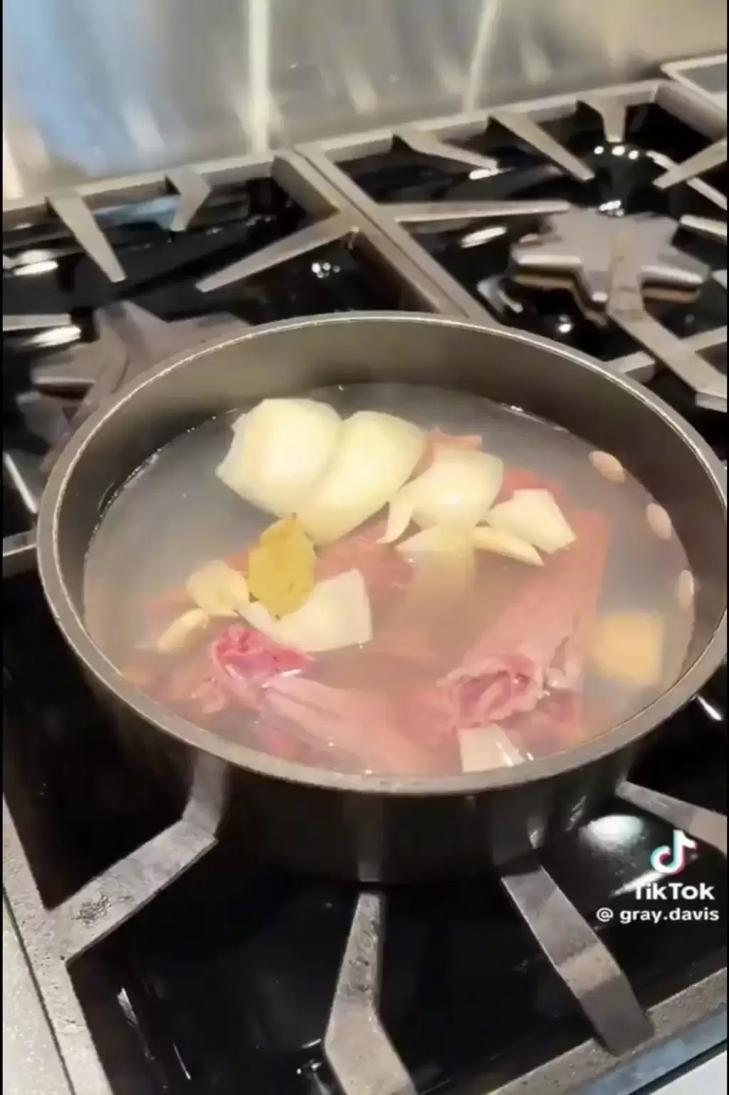 美洲绿鬣蜥｜“树上鸡肉”冻僵跌落地 居民煎皮拆骨做塔可饼
