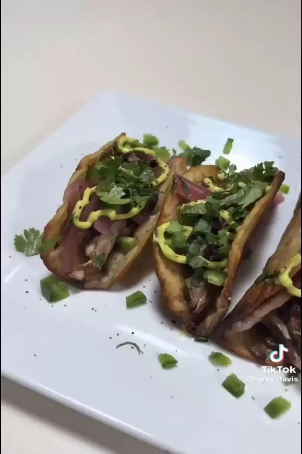美洲绿鬣蜥｜“树上鸡肉”冻僵跌落地 居民煎皮拆骨做塔可饼