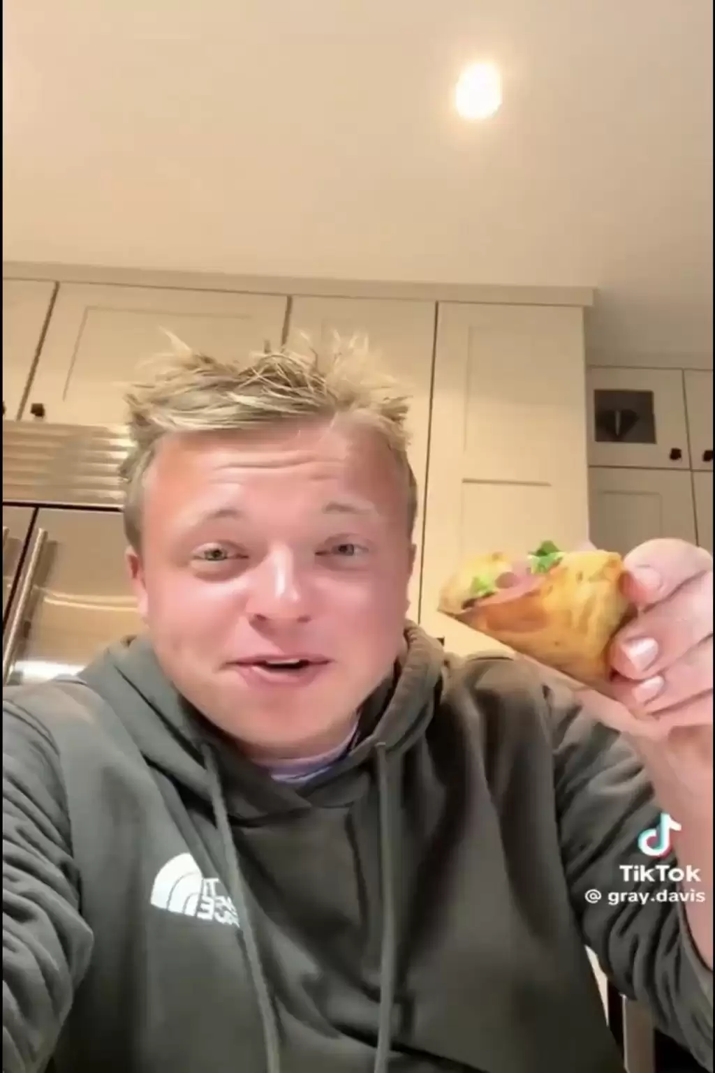 美洲绿鬣蜥｜“树上鸡肉”冻僵跌落地 居民煎皮拆骨做塔可饼